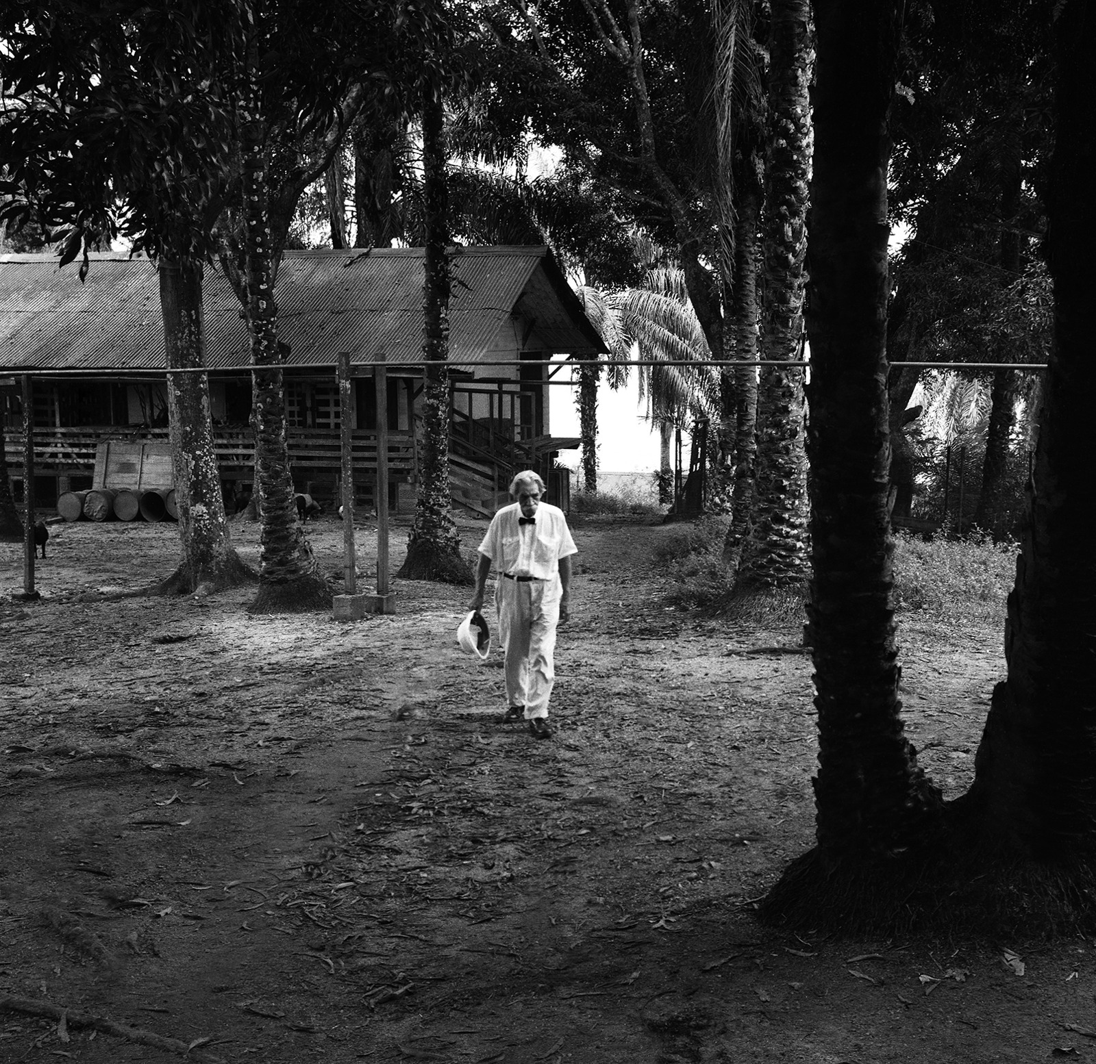 1964년 랑바레네에서의 알베르트 슈바이처