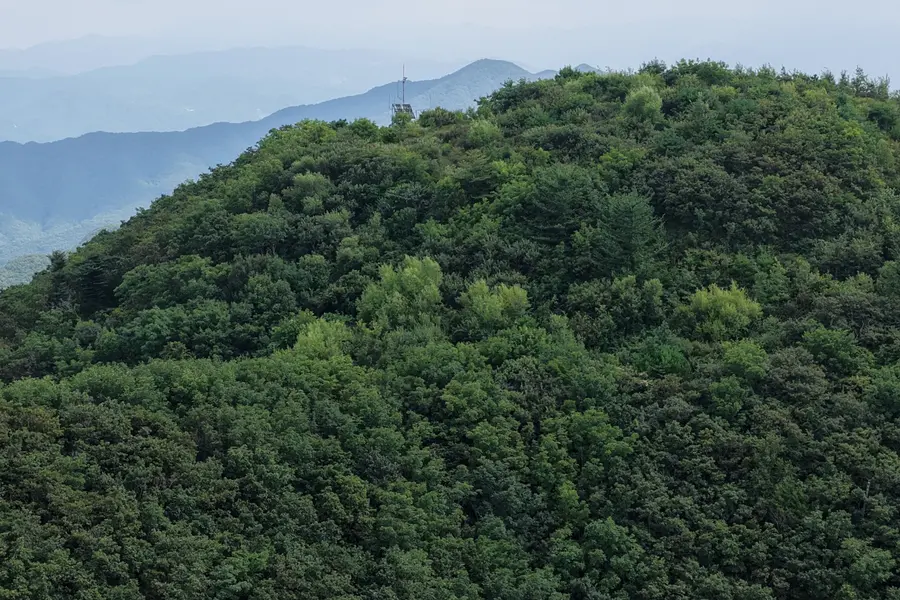 김천바람재 복원지 전경 / 산림청 제공